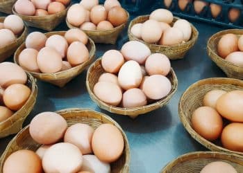 10 Essential Tips On How To Diversify Your Investments