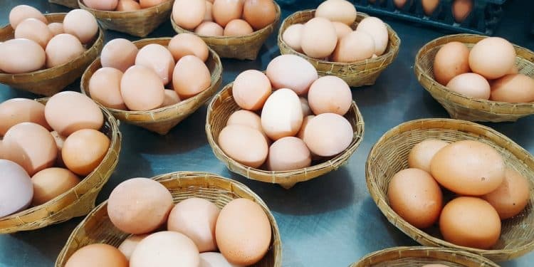 10 Essential Tips On How To Diversify Your Investments