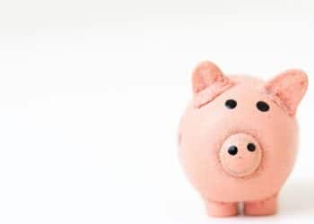 pink pig figurine on white surface
