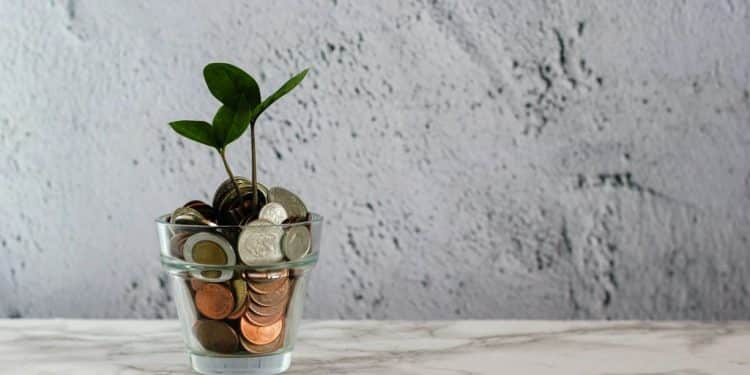 green plant in clear glass cup