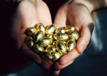 person holding brown and black round fruits